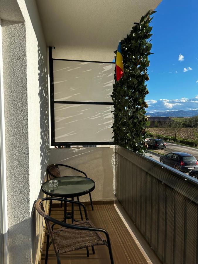 Apartament Elena Sibiu Buitenkant foto